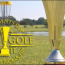 Presidents Cup Cancelled Presidents Cup Cancelled